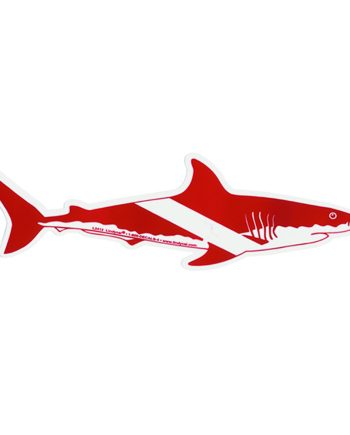 Shark Bumper Sticker