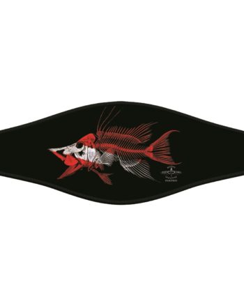Picture Combo Strap - Hogfish