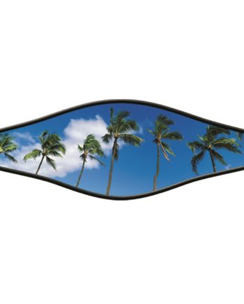 Picture Combo Strap - Palm Trees